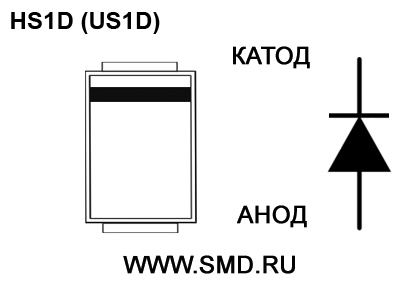 Цоколевка HS1D (US1D)